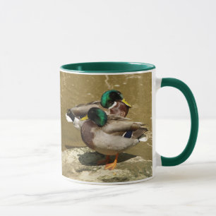 O pato selvagem Ducks a caneca