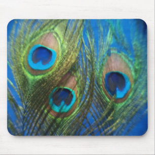 O pavão azul empluma-se Mousepad