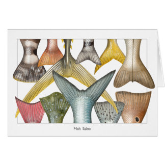 O peixe ata o cartão (dos contos)