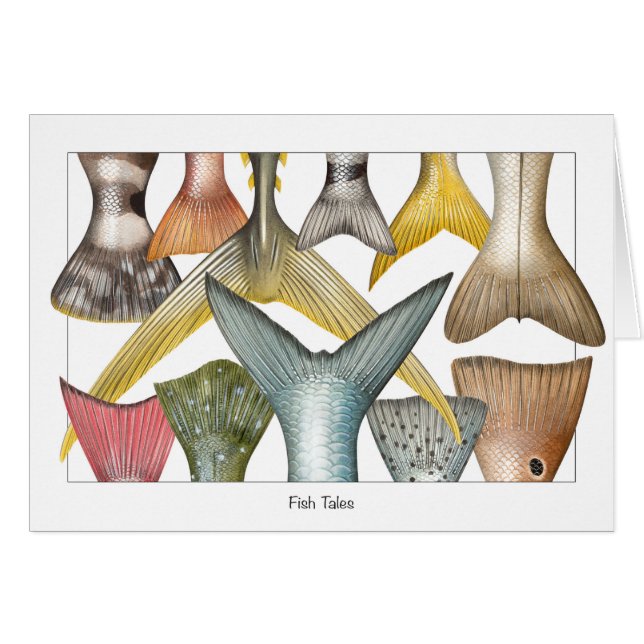 O peixe ata o cartão (dos contos) (Frente Horizontal)