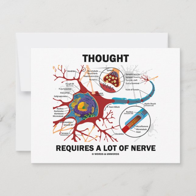O Pensamento Requer Muito Nervo (Sinapse) (Frente)