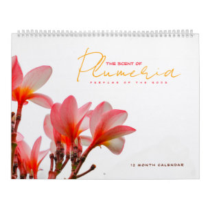 O perfume do calendário da Plumeria