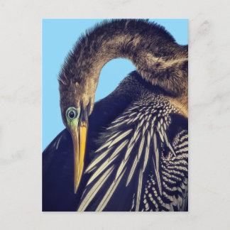 "O Pescador de Lança" Cartão Postal