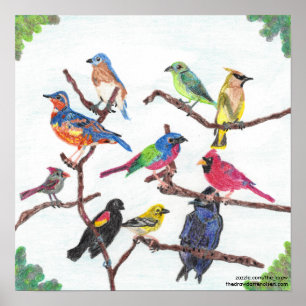 O poster colorido das aves canoras do recolhimento