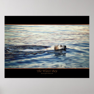 O poster da arte do cão do MENINO de ÁGUA