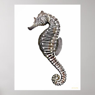 O poster da arte do cavalo marinho da zebra