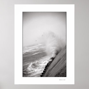 O poster da ONDA
