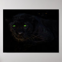 O poster da pantera preta