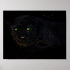 O poster da pantera preta