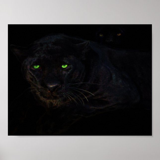 O poster da pantera preta (Frente)