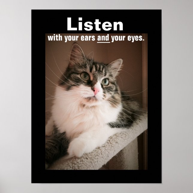 O Poster de escuta (Frente)