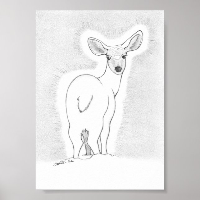 O Poster de guia (Frente)