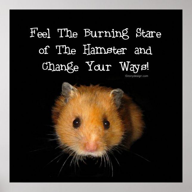 O Poster de Hamster (Frente)