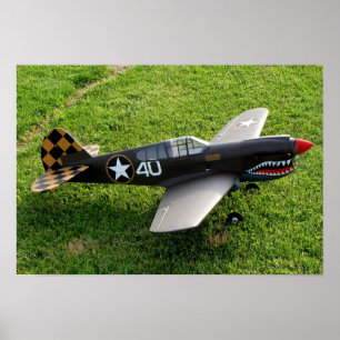 O poster de P-40 Warbird