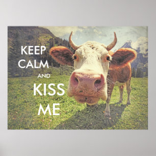 o poster do divertimento MANTEM A CALMA