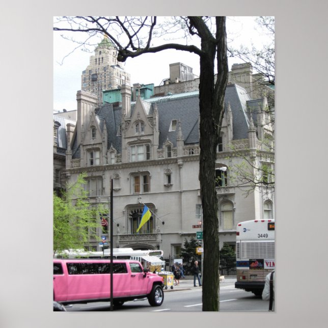 O Poster do limo rosa (Frente)