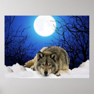 O poster do lobo do observador