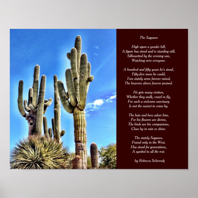 O Poster do Poema Saguaro (Frente)