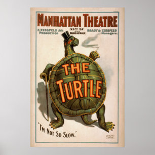 O poster do VAUDEVILLE do jogo da TARTARUGA de
