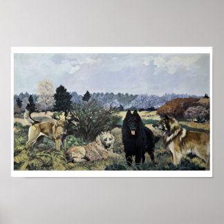 O Poster dos Quatro Belgas