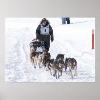 O Poster final do suporte