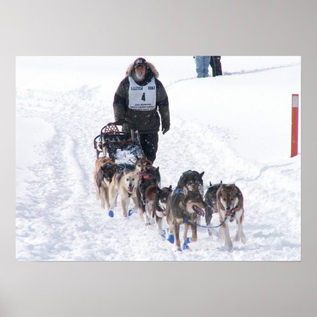 O Poster final do suporte (Frente)