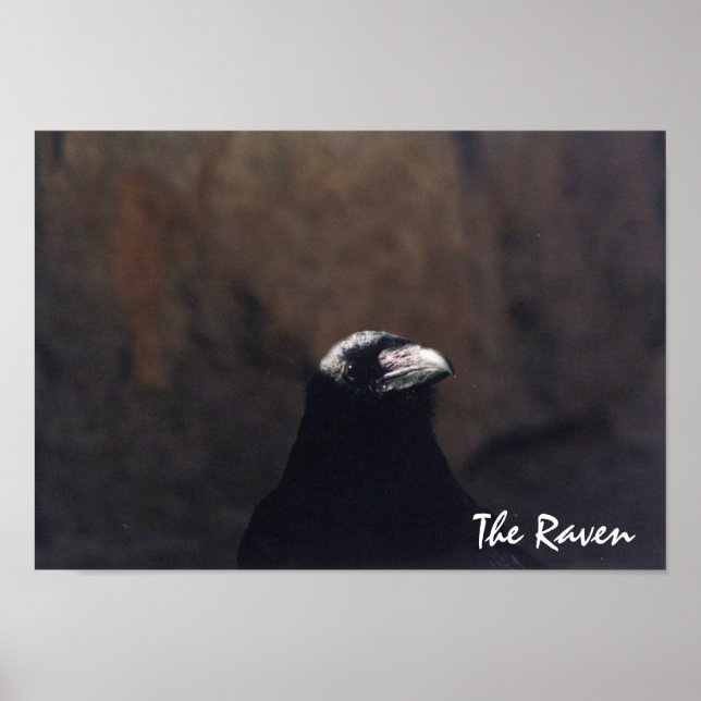 O Poster Raven (Frente)