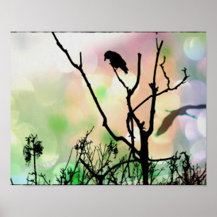 O poster só do corvo