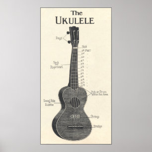 O Poster Ukulele