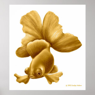 O preto amarra o impressão do peixe dourado