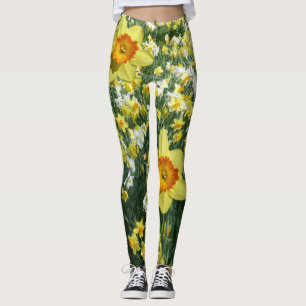 O primavera dos Daffodils floresce Legging amarelo