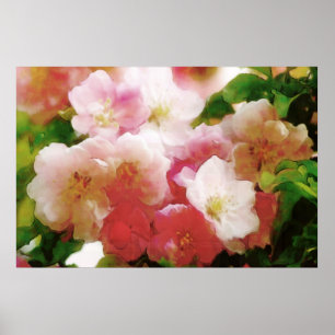 O primavera sonhador floresce poster da cor de