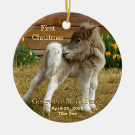 O Primeiro Pôneo de Natal do Bebê no Ornamento de 