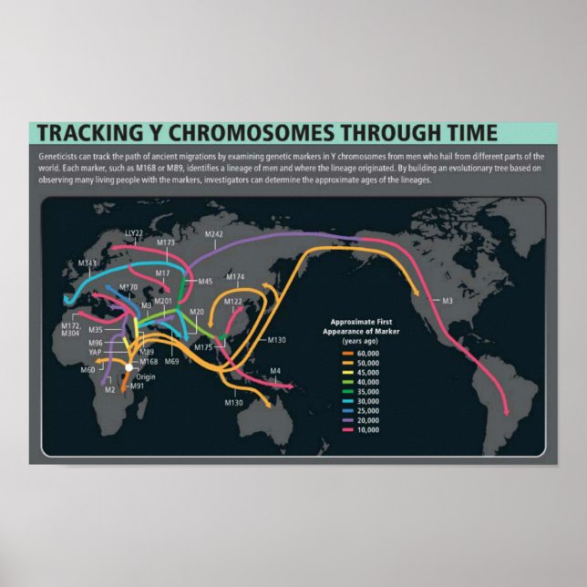 O primeiro Poster de migração (Frente)