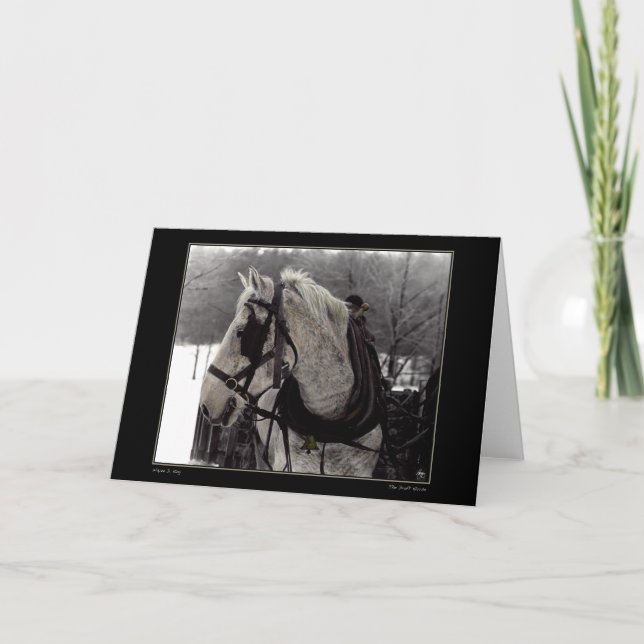 O Projeto de Cartão de Saudação de Cavalo (Frente)