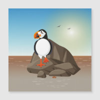 O Puffin ao longo da costa
