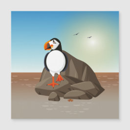 O Puffin ao longo da costa