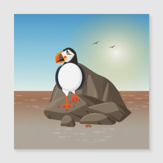 O Puffin ao longo da costa