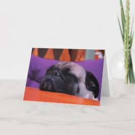 O Pug obtem o cartão bom
