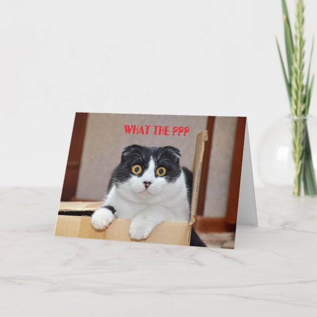 O QUE? CARTÃO DE ANIVERSÁRIO INFERIOR (Frente)