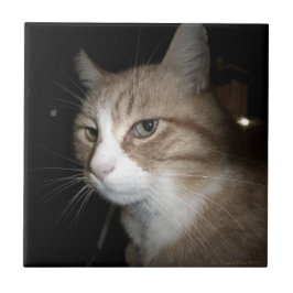 O que ele está pensando?