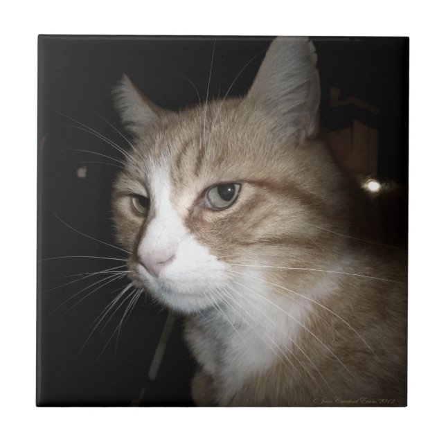 O que ele está pensando? (Frente)