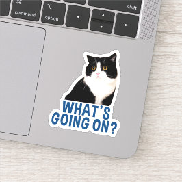 O que está acontecendo no adesivo de Manchester