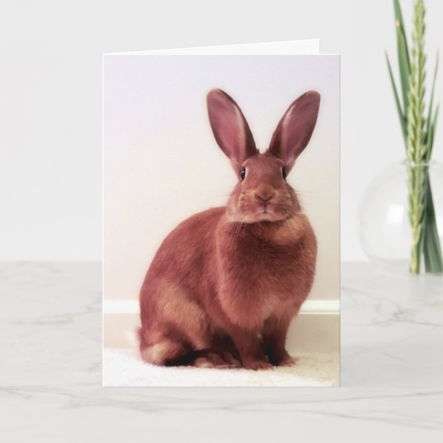 "O que está esperando?" Cartão (Frente)