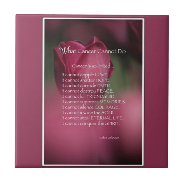O que o Cancer não pode fazer, apoiar e encorajar (Frente)