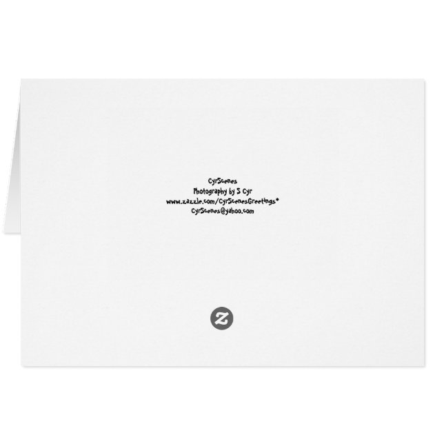 O que se passa? Cartão Engraçado (Verso Horizontal)