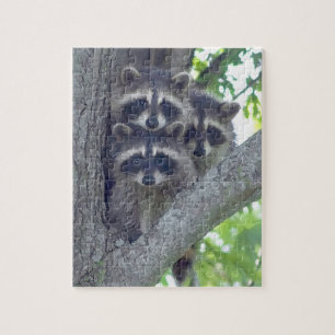 O quebra-cabeça de três amigo