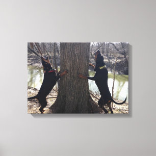 O racum de Treeing persegue canvas