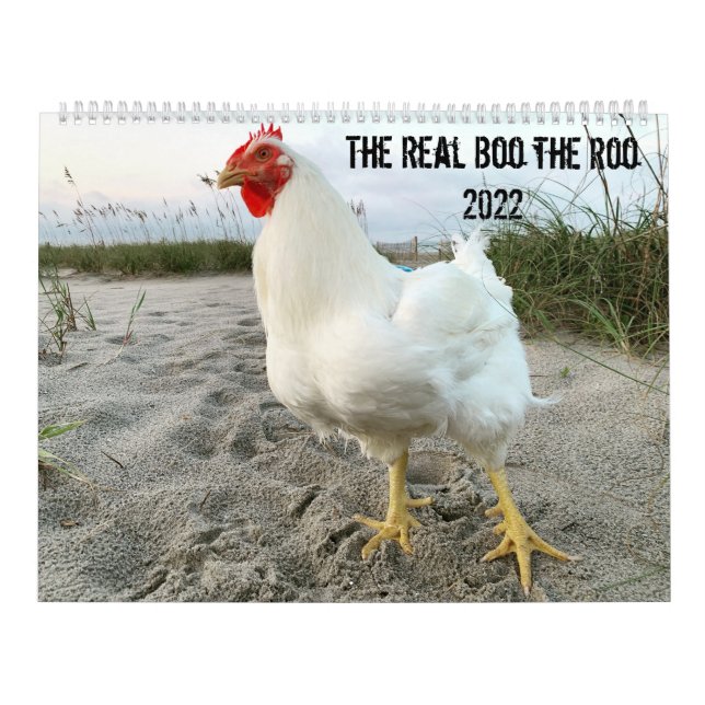 O Real Boo do Calendário Roo 2022 (Capa)