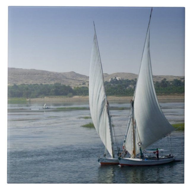 O rio Nilo e barcos à vela usados como (Frente)
